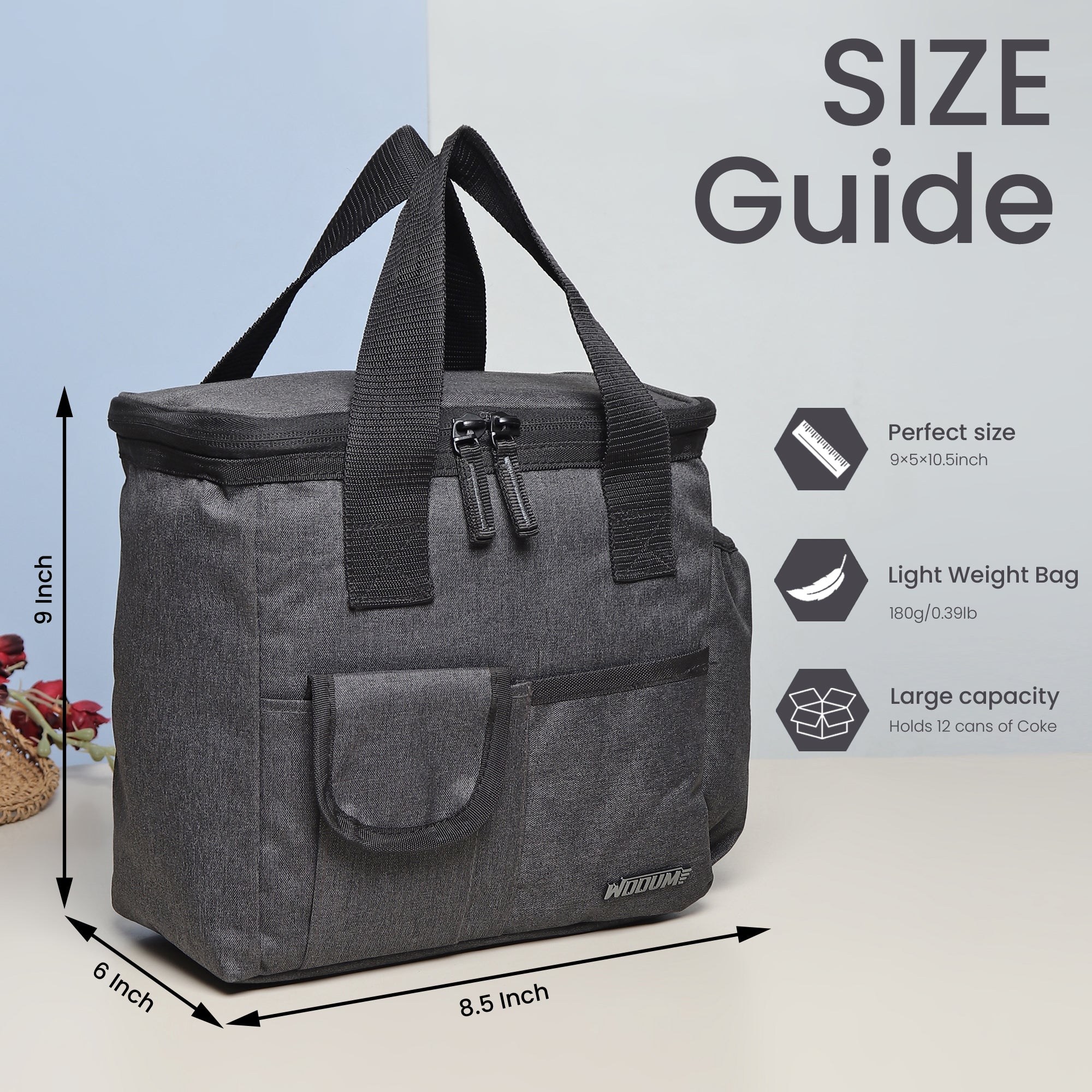 Large Size Lunch Bag Insulated
